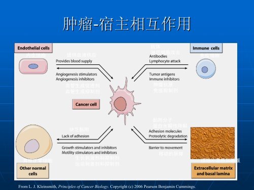 è¡ç®¡ä¸è¿ç¤è½¬ç§»