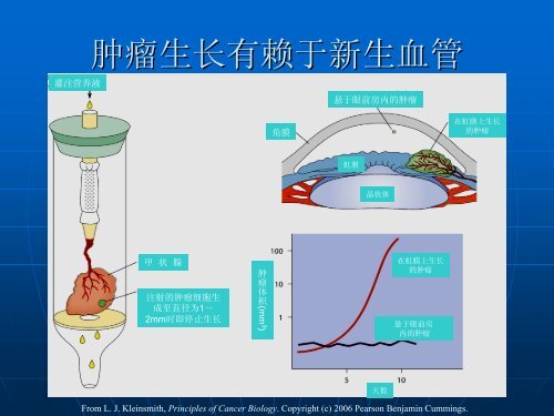 è¡ç®¡ä¸è¿ç¤è½¬ç§»