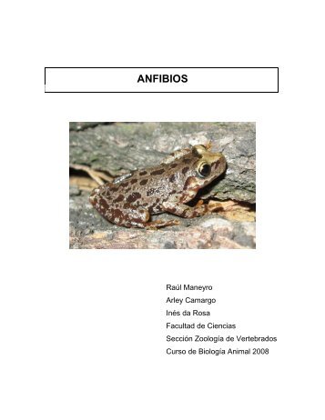 Practico 04 - Anfibios - ZoologÃ­a Vertebrados