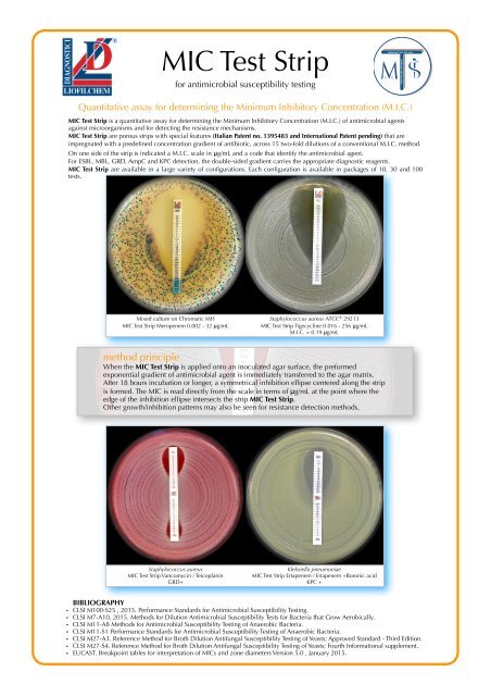 View the complete range of MIC Test Strip - Liofilchem