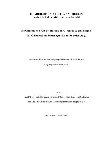 Arbeitspferde im Gemüsebau - Zukunftswerkstatt Arbeitspferde