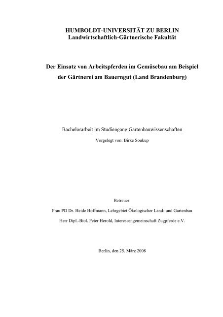 Arbeitspferde im Gemüsebau - Zukunftswerkstatt Arbeitspferde