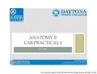 Anatomy and Physiology II - Daytona State College