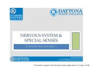 A&P I The Nervous System & Special Senses Lab Final SI ...