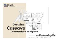 illustrated guide to growing Cassava. - Cassavabiz.org