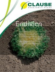 Katalog Endivien 2014-2015 - Nickerson-Zwaan