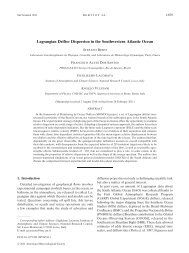 Lagrangian Drifter Dispersion in the Southwestern Atlantic Ocean