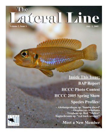 Lateral Line July 2005-converted.pub - Hill Country Cichlid Club