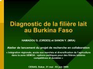 Diagnostic de la filiÃ¨re lait au Burkina Faso - REPOL
