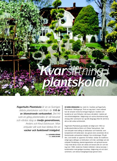 Kvarsittning i plantskolan - Fagerhults Plantskola