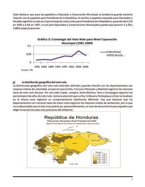 Informe Votos Nulos - Tribunal Supremo Electoral