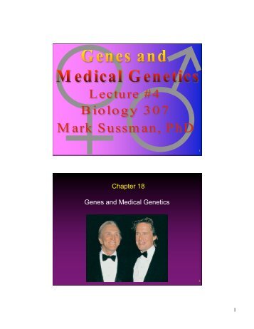 Lecture 5: Genes and medical genetics