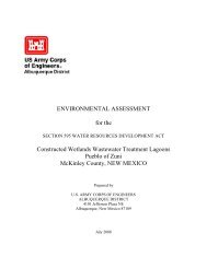 ENVIRONMENTAL ASSESSMENT for the Constructed Wetlands ...