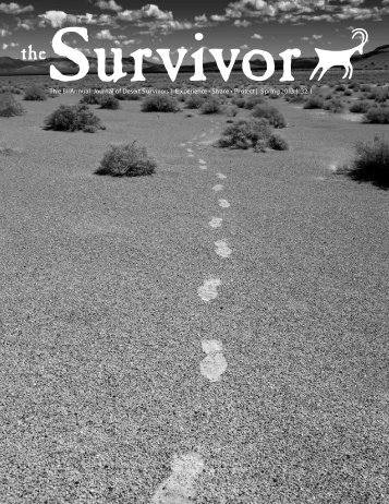 Spring 2013 | 32.1 - Desert Survivors