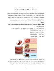 ××× × ××¨×§×××ª ××× ××××××ª â ×××¡××××××× - TeachLine