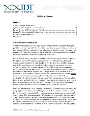 Gel Electrophoresis - Integrated DNA Technologies