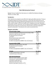 Plant DNA Extraction Protocol