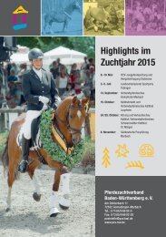 Freilaufwettbewerb und Ponykörung am 15. März in Marbach