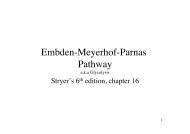 Embden-Meyerhof-Parnas Pathway - TeachLine