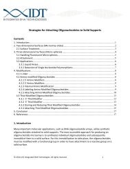 Strategies for Attaching Oligonucleotides to Solid Supports