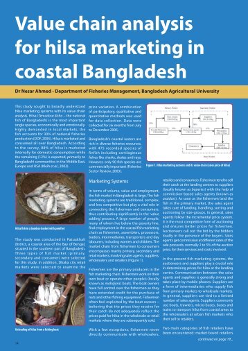 Value chain analysis for hilsa, Bangladesh - Institute of Aquaculture