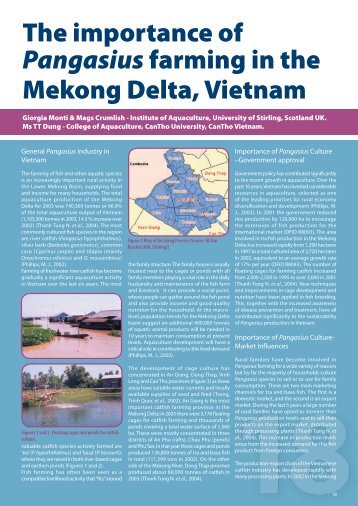 Catfish farming Mekong Delta - Institute of Aquaculture - University ...