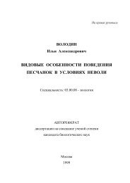 видовые особенности поведения песчанок в условиях неволи