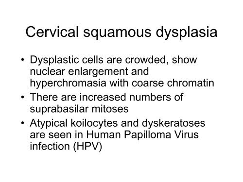 Cone biopsy of cervix - Rcpa.tv