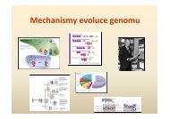 02-Evoluce genomu