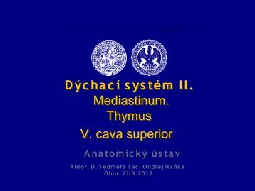 thymus - AnatomickÃ½ Ãºstav 1.LF UK - Univerzita Karlova