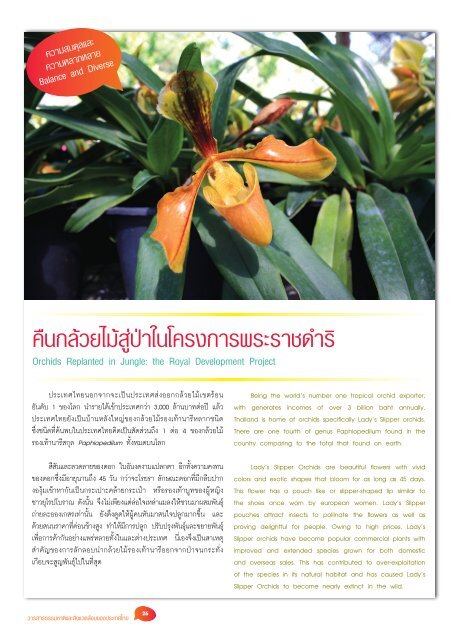 ปีที่ 5 ฉบับที่ 3 กรกฎาคม-กันยายน 2552 - สำนักงานนโยบายและแผน ...