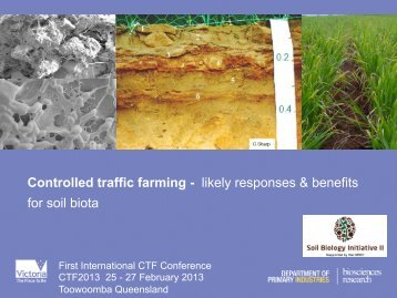 CTF Impacts on Soil Biology - Pauline Mele , Dept of ... - ACTFA