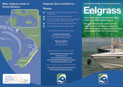 Eelgrass Leaflet - Poole Harbour Aquatic Management Plan