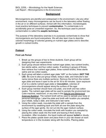 Microbes in the Environment Handout