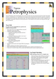 Tigress Petrophysics Brochure