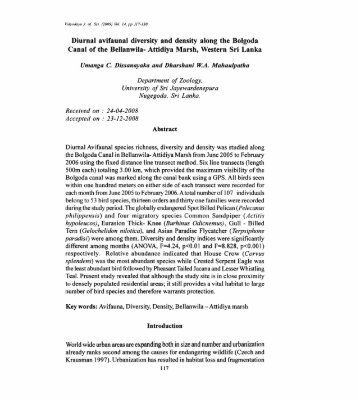 Diurnal avifaunal diversity.pdf - Dl Sjp Ac Lk - University of Sri ...