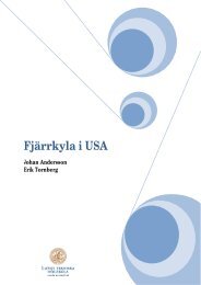 FjÃ¤rrkyla i USA