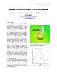 Spherical Bubble Dynamics in a Bubbly Medium - Dynaflow, Inc.