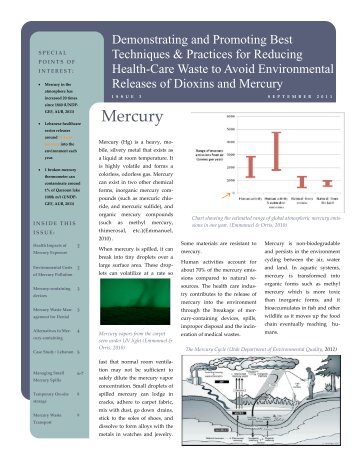 UNDP/GEF Global Healthcare Waste Project Newsletter- Issue 3