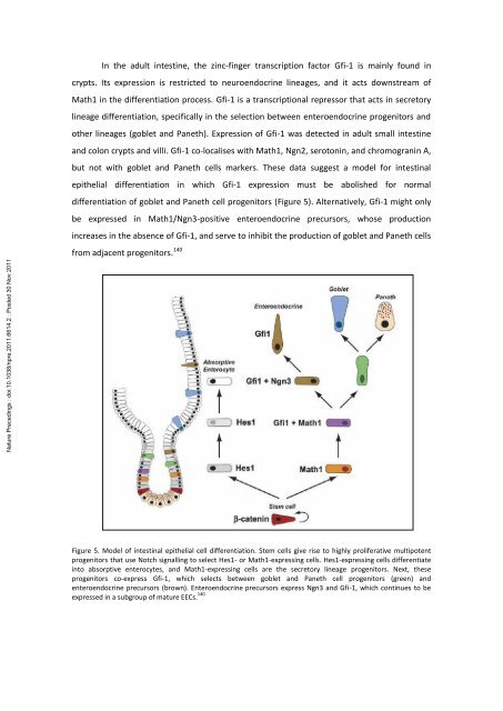 Isolated ileal interposition in enteroendocrine L cells differentiation