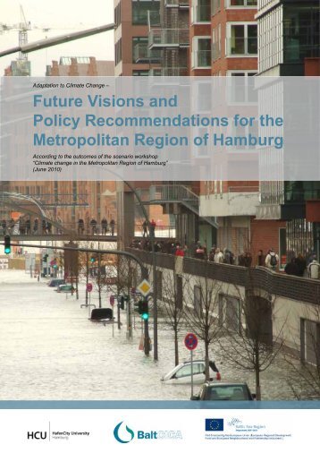 Future Visions and Policy Recommendations for the ... - BaltCICA