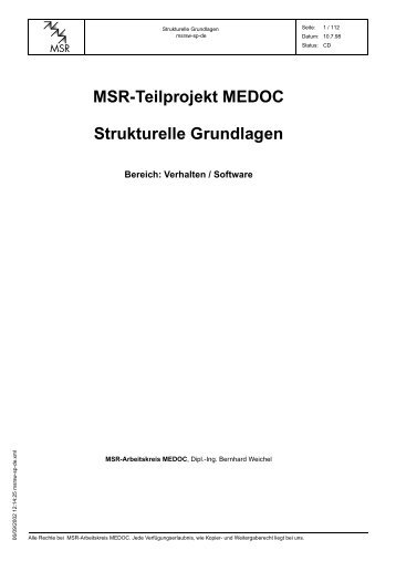 MSR-Teilprojekt MEDOC Strukturelle Grundlagen