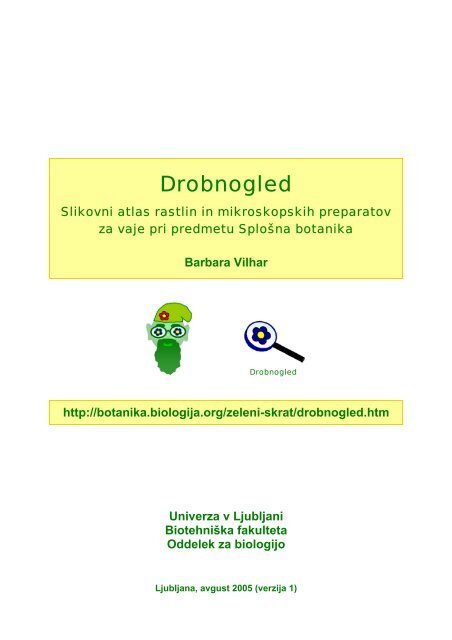 Drobnogled