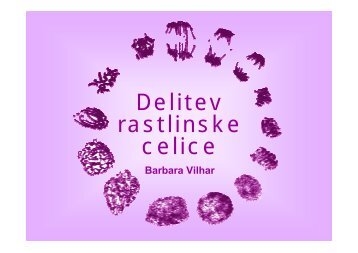 Delitev rastlinske celice