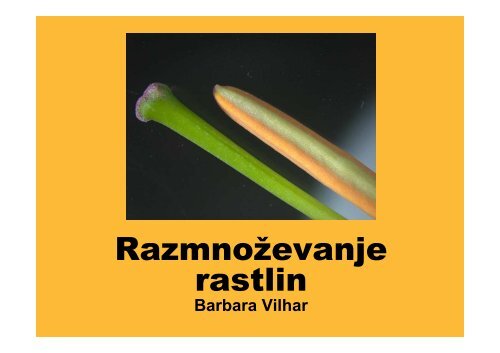 celostransko