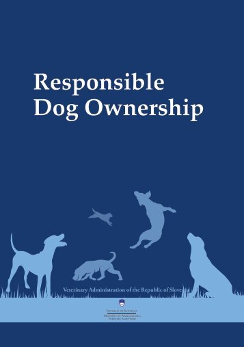 Responsible Dog Ownership