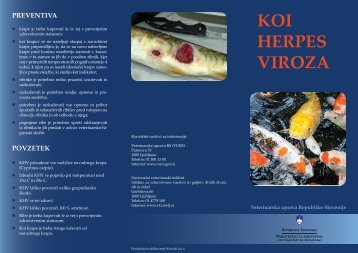 KOI HERPES VIROZA