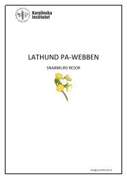 LATHUND PA-WEBBEN
