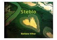 Steblo