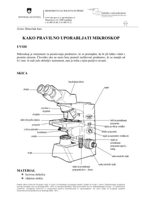 kako pravilno uporabljati mikroskop - Razvoj naravoslovnih ...